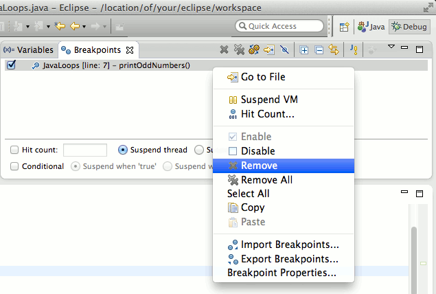 picture showing the eclipse IDE 28